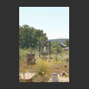 AMERICA2007-9.jpg�ւ̃����N