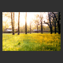 LASTLINE0001.jpg�ւ̃����N