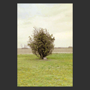 LASTLINE0030.jpg�ւ̃����N